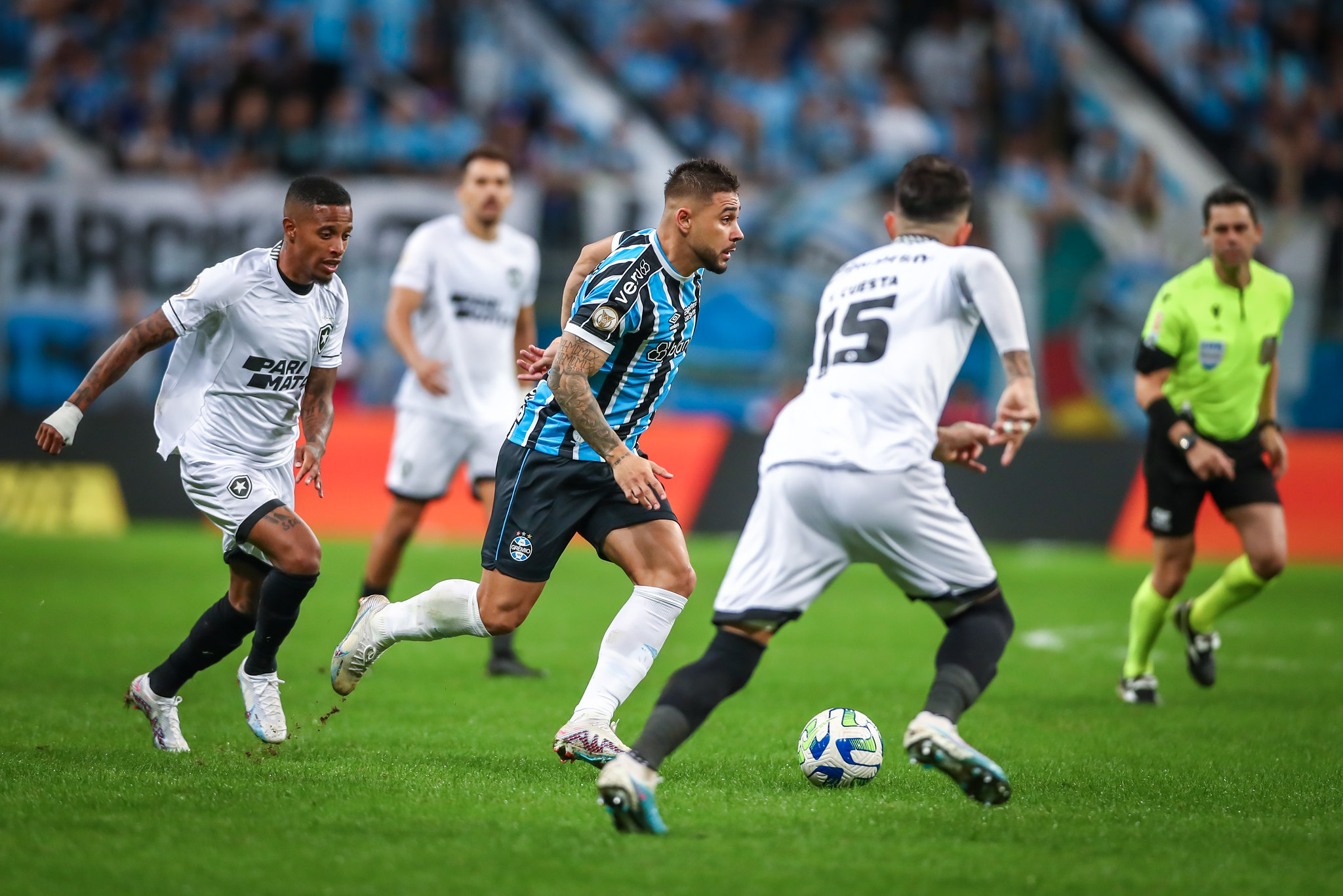 Botafogo x Grêmio: Confira onde assistir jogo do Botafogo e Grêmio ao vivo  hoje (09); veja horário e escalação