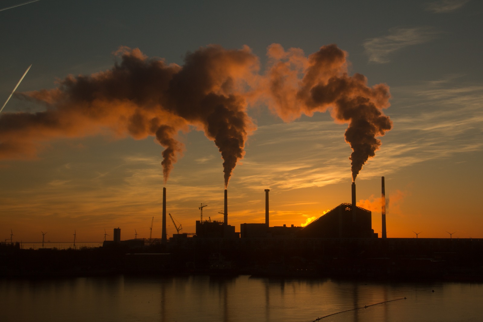 O documento foi publicado no momento em que os lderes mundiais se preparam para a reunio de cpula do clima COP28 (Crdito: wirestock/freepik
)