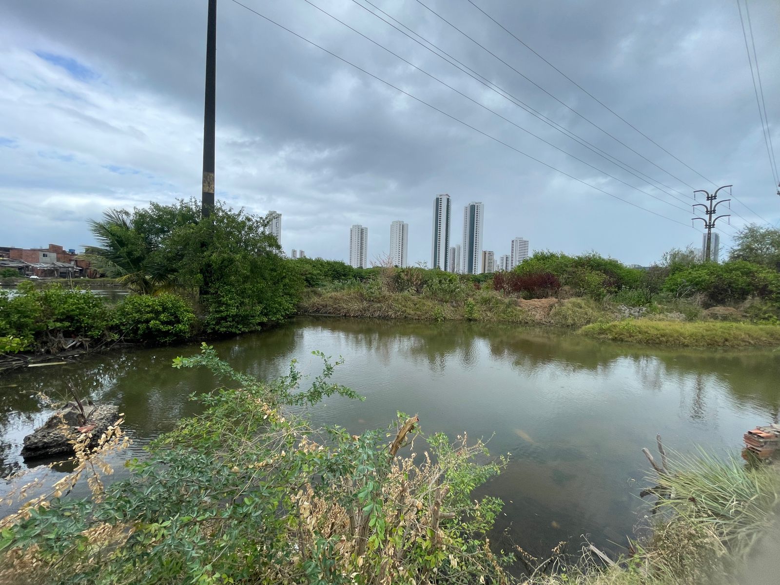Viveiro de camaro foi instalado na comidade da Ilha do Zeca, no Recife  (Foto: Rmulo Chico/DP)