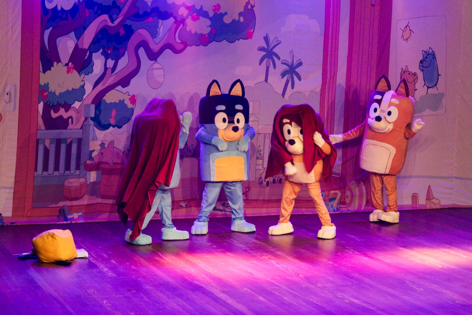 recife-recebe-o-espet-culo-infantil-bluey-ltimas-diario-de-pernambuco