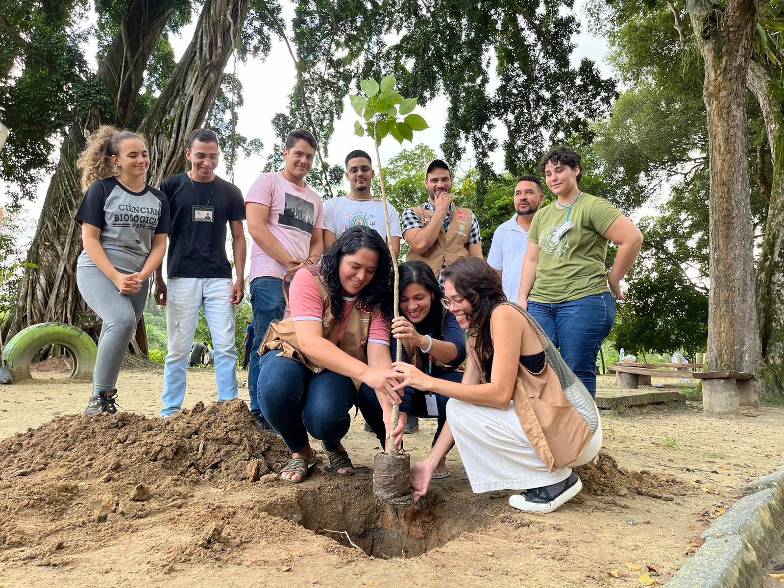 Governo do Estado lança ação para plantar 4 milhões de árvores até 2026 |  Local: Diario de Pernambuco