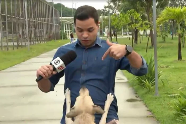 vira-lata Caramelo invadindo jornal (Crdito: Reproduo)