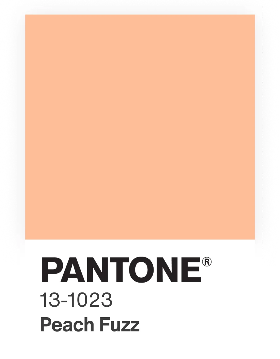 Peach Fuzz, cor 2024 pela Pantone (foto: Divulgao/Pantone)