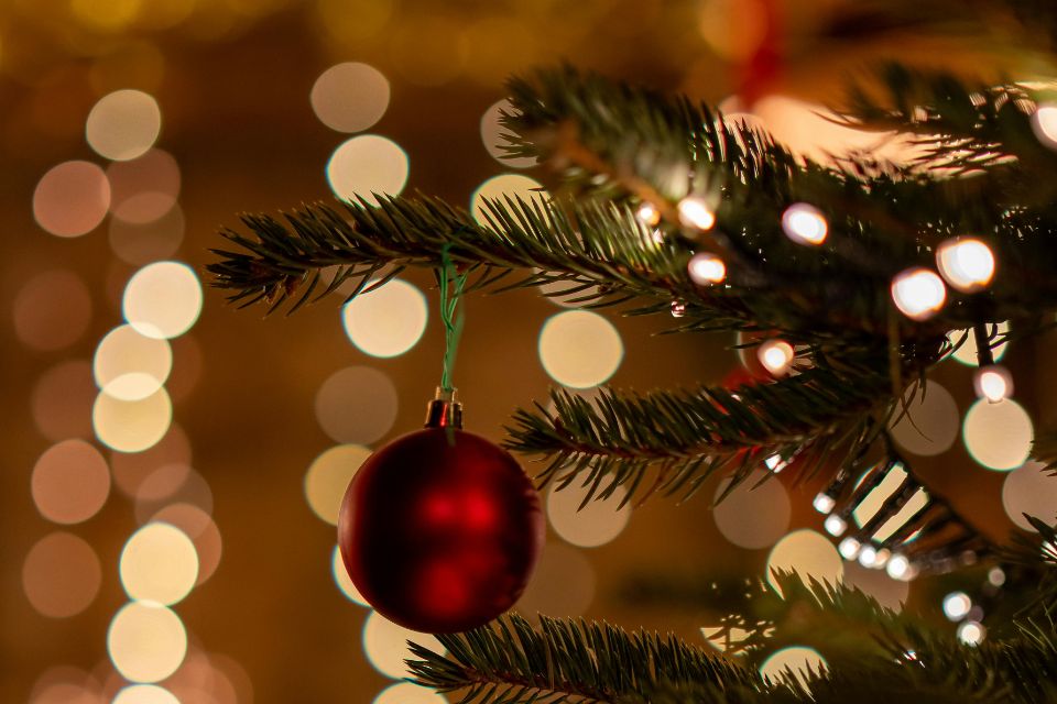 (Foto: Freepik) (Foto: Freepik)