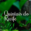 Quintais do Recife (Tas Nascimento/DP/DA Press)