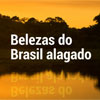 Belezas do Brasil alagado (Ins Campelo/DP/D.A Press)