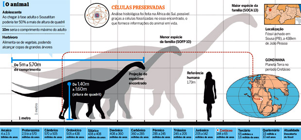 Descoberto o dinossauro mais antigo, com 245 milhões de anos