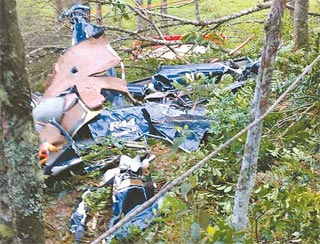 Aeronave alugada pela noiva caiu a cerca de 2 km do local onde seria o casamento (Corpo de Bombeiros/Divulgao)