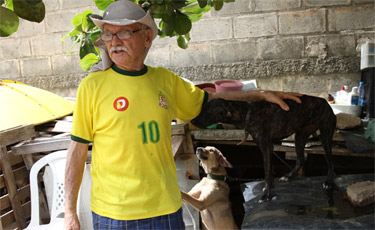 Idoso que cuida de 65 cachorros pede ajuda para construir canil (Julio Jacobina/DP/D.A Press)